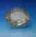 item-133576325=6