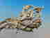 item-133664138=4