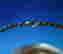 item-133664572=6