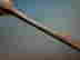 item-133663773=5
