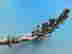 item-133665615=5