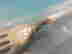 item-133671487=4