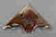 item-133670974=2
