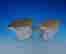 item-133671778=6