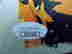 item-135613785=3