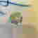 item-135620018=5