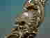 item-136005703=5