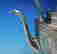 item-136007580=5