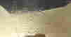item-136141503=2