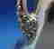 item-136141668=10