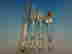 item-136145800=4