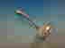 item-136145800=9