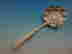 item-136145978=4