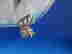 item-136147833=6