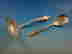item-136148010=6