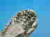 item-136148653=10