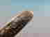 item-136149117=6