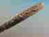 item-136149117=7
