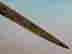 item-136149117=8
