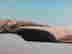 item-136149117=9