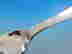 item-136151246=6