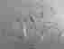 item-136152054=6