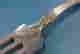 item-136160158=10