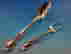 item-136160158=7