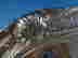 item-136160413=7