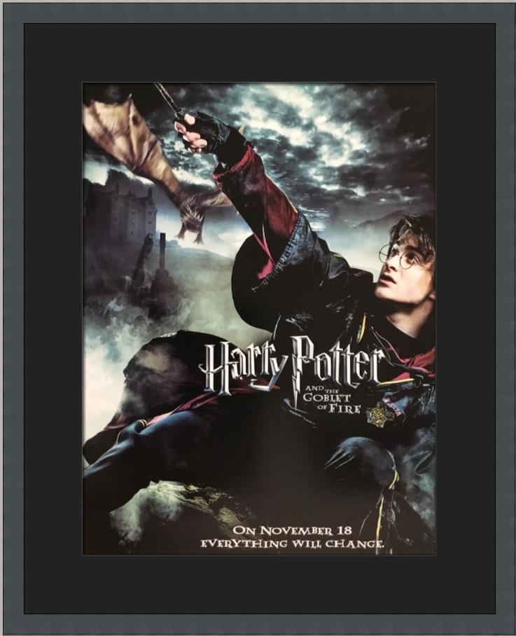 Harry Potter And The Goblet of Fire Custom Framed Poster III: Harry Potter And The Goblet of Fire Custom Framed Poster III Size: 12 x 16 Modified Item: No Movie: Harry Potter Original/Reproduction: Reproduction Year: 2000-Now Object Type: Poster Industry: Movies