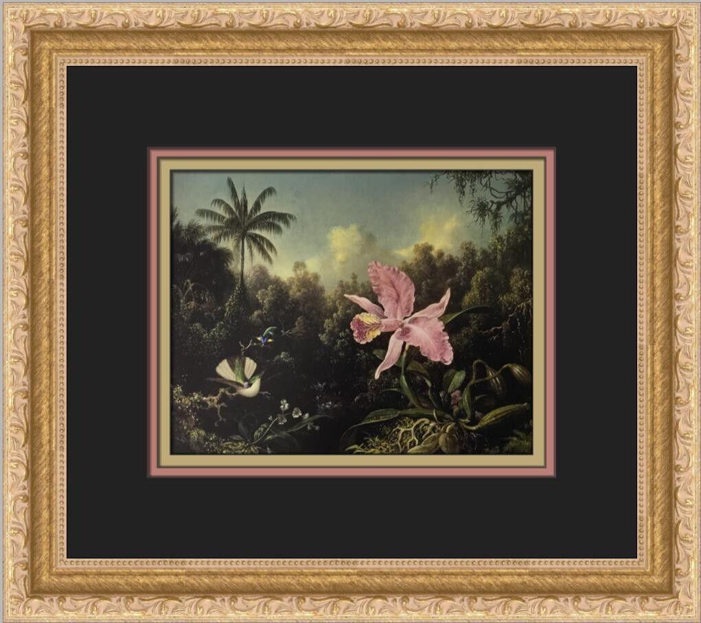 Martin Johnson Heade Orchid and Two Hummingbirds Custom Framed Print: Martin Johnson Heade Orchid and Two Hummingbirds Custom Framed Print Unit Of Sale: Single Piece Artist: Martin Johnson Heade Size: Medium Custom Bundle: No Item Length: 13 in Region Of Origin: United 