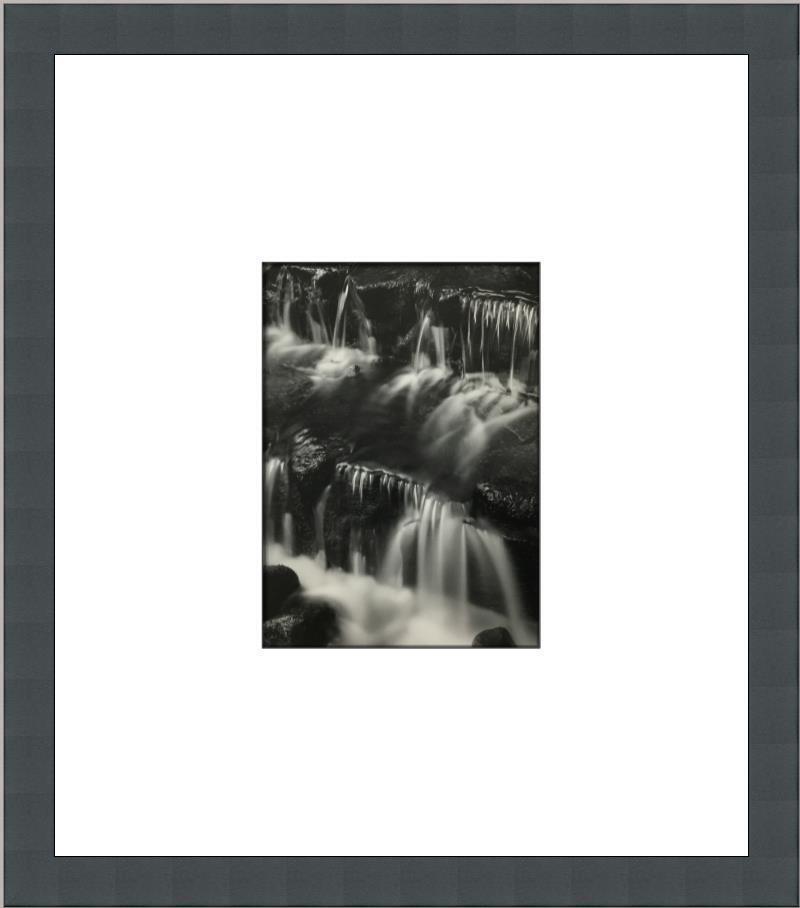 Ansel Adams Fern Spring Dusk Yosemite CA Custom Framed Print: Ansel Adams Fern Spring Dusk Yosemite CA Custom Framed Print Size: Medium Region Of Origin: usa Artist: Ansel Adams Production Technique: Lithography Framing: Matted & Framed Style: Realism Item Heigh