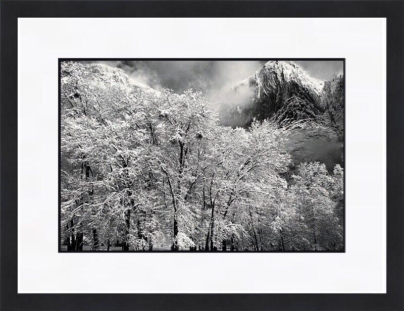 Ansel Adams - Oaks in Snow Yosemite Point Custom Gallery Framed: Ansel Adams - Oaks in Snow Yosemite Point Custom Gallery Framed Features: Framed Matted Region Of Origin: United States Item Width: 16 in Title: Oaks in Snow Yosemite Point Production Technique: Litho