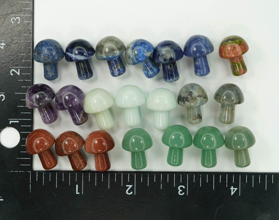 x21 PIECE SODALITE LAPIS LAZULI AMETHYST LABRADORITE UNAKITE MUSHROOM STONES (5): x21 PIECE SODALITE LAPIS LAZULI AMETHYST LABRADORITE UNAKITE MUSHROOM STONES (5) Pre-Owned The MYNT Guarantee: All items in this auction are guaranteed to be 100% authentic. At Your Service: At MYNT,