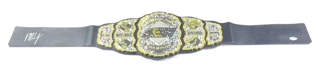 Matt Hardy signed Championship Belt PSA/DNA AEW NXT Autographed Wrestling: Matt Hardy signed Championship Belt PSA/DNA AEW NXT Autographed Wrestling Original/Reprint: Original Sport: Wrestling Pre-Owned PLEASE NOTE: Framed Large or heavy Items do not have shipping costs incl