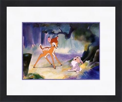 Walt Disney Print Bambi and Thumper Custom Gallery Framed: Walt Disney Print Bambi and Thumper Custom Gallery Framed Features: Framed Matted Personalize: No Item Width: 15 in Item Length: 18 in Item Height: 15 in Quantity Type: Single-Piece Work Subject: Anim
