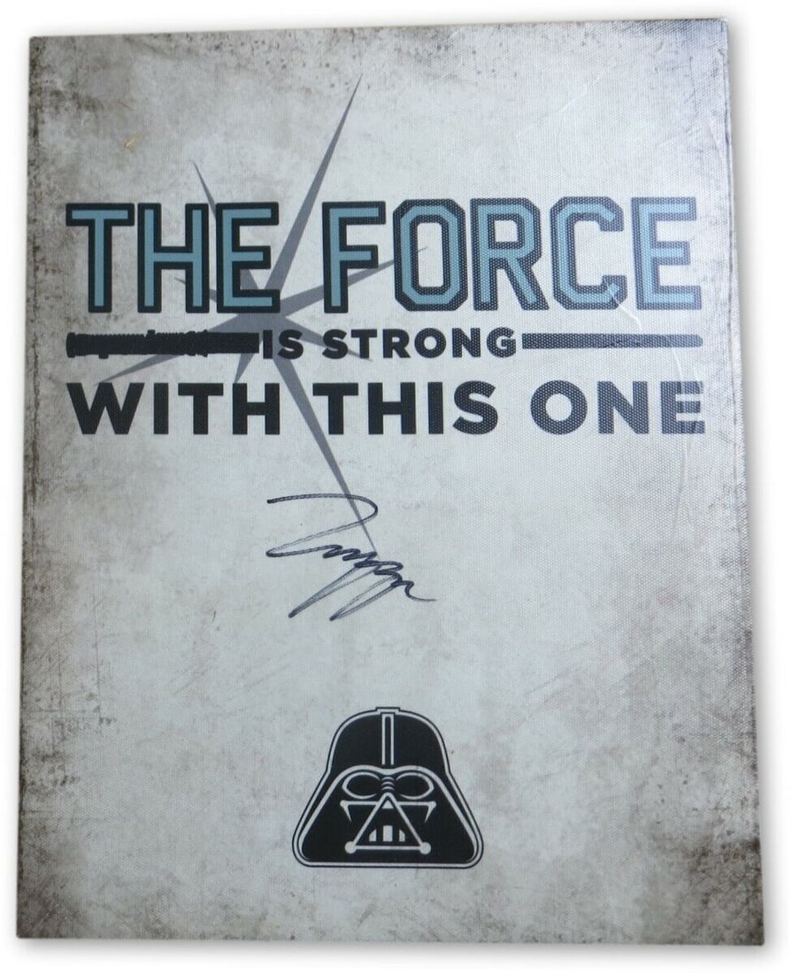 John Boyega Signed Autographed 11X14 Stretched Canvas Photo Star Wars: John Boyega Signed Autographed 11X14 Stretched Canvas Photo Star Wars Industry: Movies Object Type: Photograph Original/Reproduction: Original Autograph Authentication: Global Authentics Player: John 