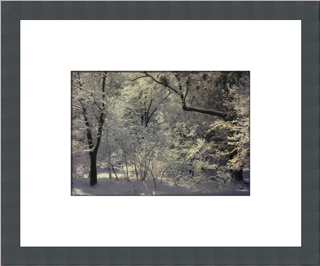 Ansel Adams Winter Forest Snow Yosemite National Park CA Custom Framed Print: Ansel Adams Winter Forest Snow Yosemite National Park CA Custom Framed Print Size: Medium (up to 36in.) Region Of Origin: United States Artist: Ansel Adams Production Technique: Lithography Framing: M