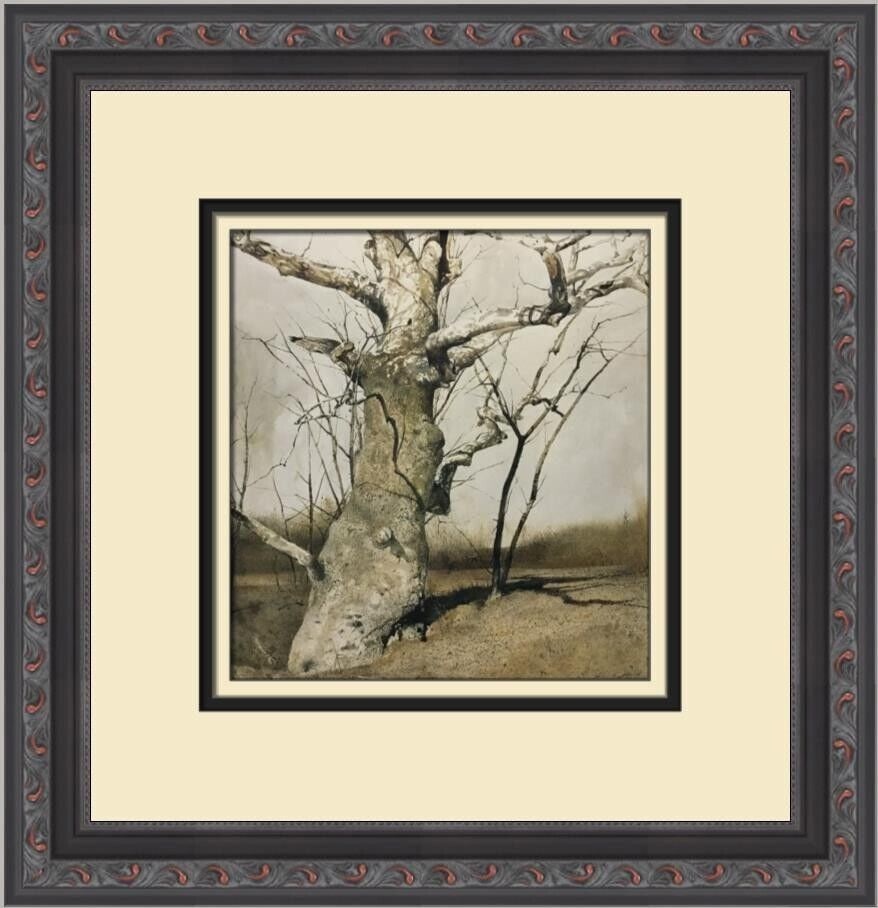 Andrew Wyeth Sycamore Custom Framed Print: Andrew Wyeth Sycamore Custom Framed Print Artist: Andrew Wyeth Unit Of Sale: Single Piece Size: Medium Custom Bundle: No Item Length: 12 in Region Of Origin: United States Framing: Matted & Framed Per