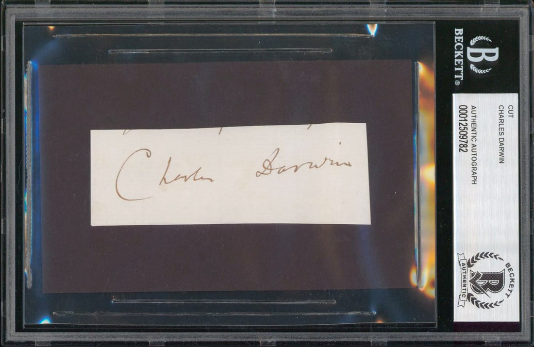 Charles Darwin Signed 1x3.75 Cut Signature Autographed BAS Slabbed: Charles Darwin Signed 1x3.75 Cut Signature Autographed BAS Slabbed Autograph Authentication: Beckett Original/Reproduction: Original Product Coa: Beckett Product Signed By Name: Charles Darwin Pre-Own