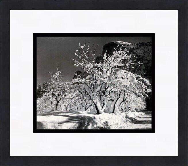Ansel Adams Half Dome Apple Orchards Winter Yosemite CA Framed Print 16x18: Ansel Adams Half Dome Apple Orchards Winter Yosemite CA Framed Print 16x18 This framed print features Ansel Adams' artwork titled 'Half Dome Apple Orchards Winter Yosemite CA'. It is a medium-sized, o