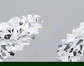 Ideal Loose Diamond - ROUND 1.26ct D VS1