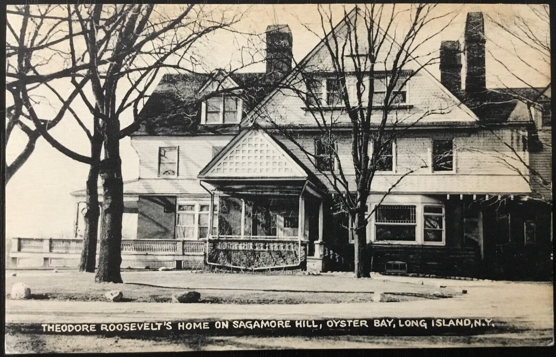 Theodore Roosevelt's Home Lithograph 1907 Cardboard Paper: Theodore Roosevelt's Home Lithograph 1907 Cardboard Paper Explore a piece of history with this original postcard featuring the residence of Theodore Roosevelt at Sagamore Hill, Oyster Bay, NY, dated 1