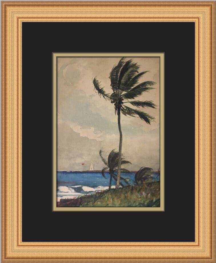 Winslow Homer A Palm Tree in Nassau Custom Framed Print 14x12: Winslow Homer A Palm Tree in Nassau Custom Framed Print 14x12 This custom framed print features Winslow Homer's artwork titled "A Palm Tree in Nassau," showcasing a blend of Expressionism and Impressi