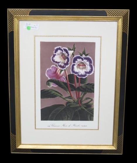 W. King Ambler Framed Neoclassical Floral Print 23 x 29 Purple: W. King Ambler Framed Neoclassical Floral Print 23 x 29 Purple This exquisite Neoclassical framed floral print by W. King Ambler showcases a beautiful arrangement in rich purple hues. The print is pre