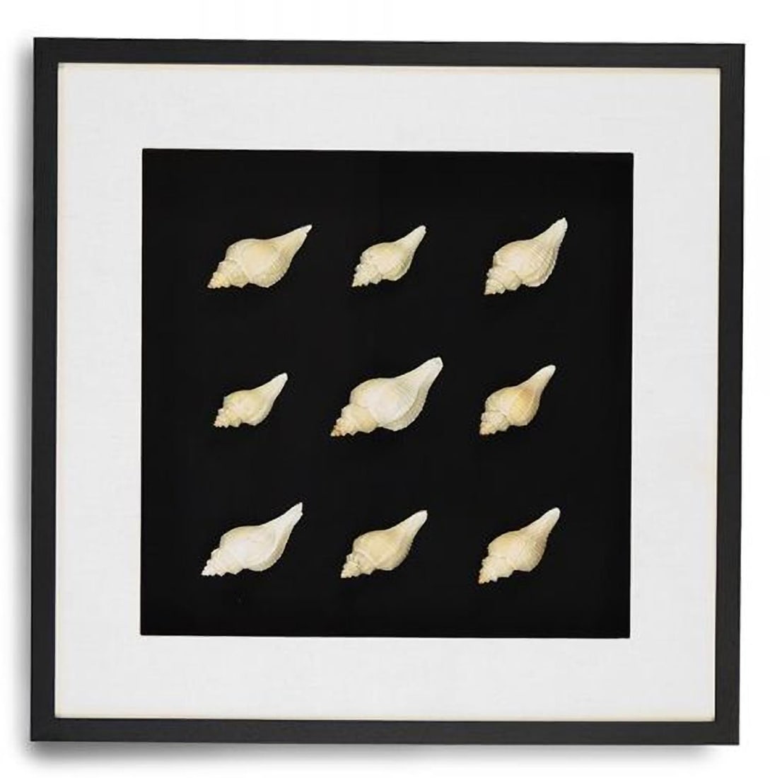 Zentique Ebony Framed Abstract Shell Wall Art 25.50": Zentique Ebony Framed Abstract Shell Wall Art 25.50" This elegant wall decor piece features a stunning abstract design beautifully framed in ebony, making it a perfect addition to any contemporary spa