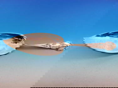 Tiffany & Co Renaissance Sterling Silver Fish Server 11.5 Inch Rare Design (1 of 9)