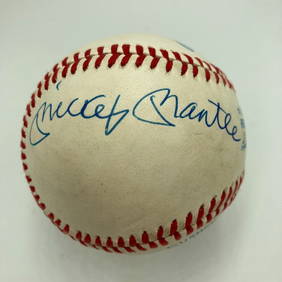 Mickey Mantle Ted Williams Frank Robinson Triple Crown Signed Ball PSA DNA COA (1 of 7)