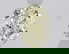 item-206319225=1