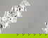 item-206366167=1